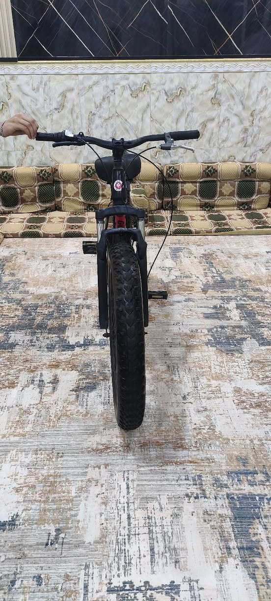 باسكل جبلي • نضيفه • حيانيه اول لاين