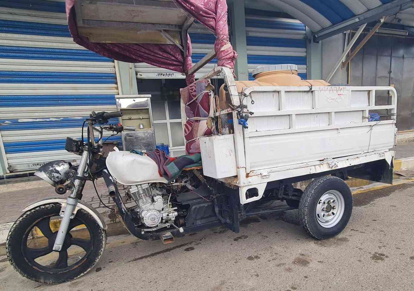 ستوته ام طير • محرك ٢٠٢٤ • بدون اوراق