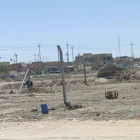 اسيجة BRC • اسيجة عشبية • الديوانية