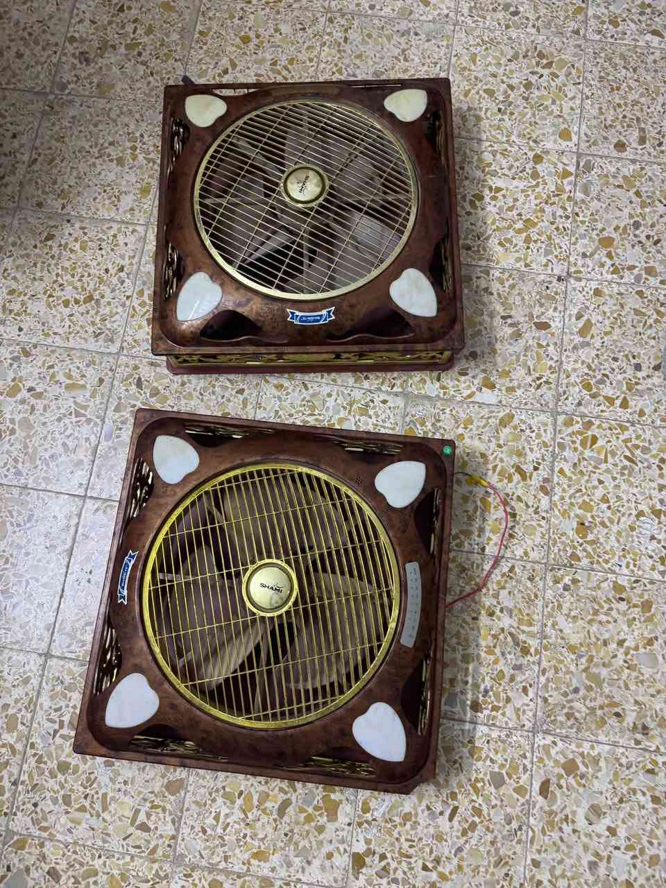 بنكات سقوف • بايسكل ولادي • تكريت حي الزهور