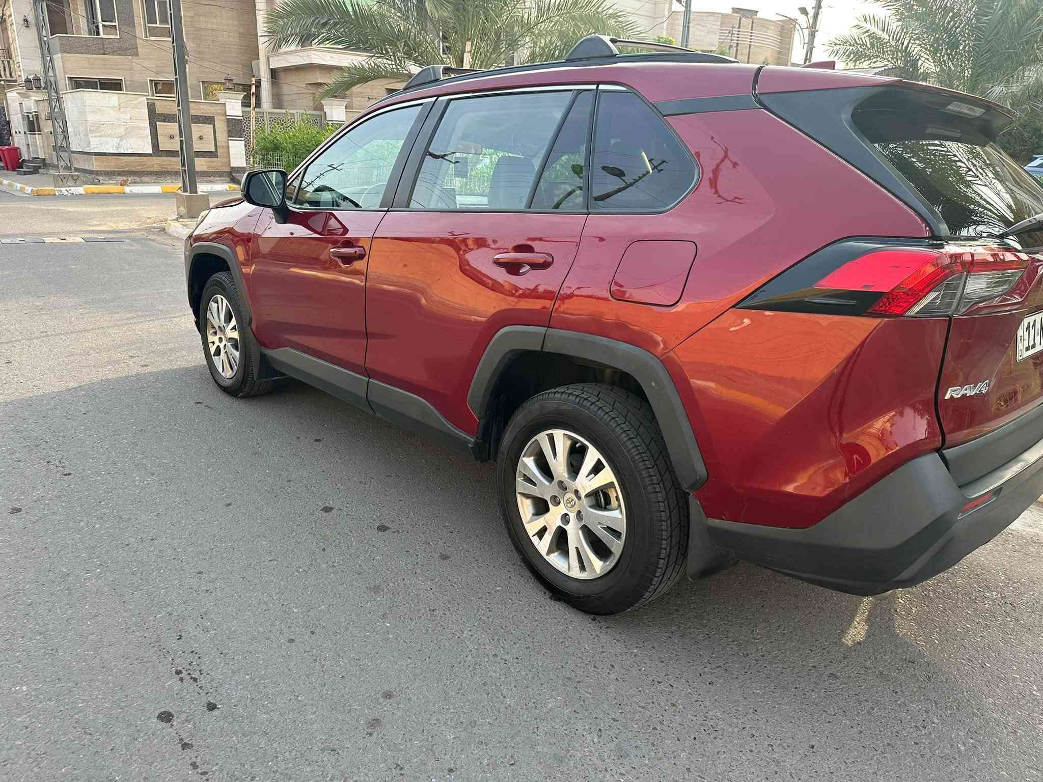 راف فور • ٢٠١٩ • بدون صبغ