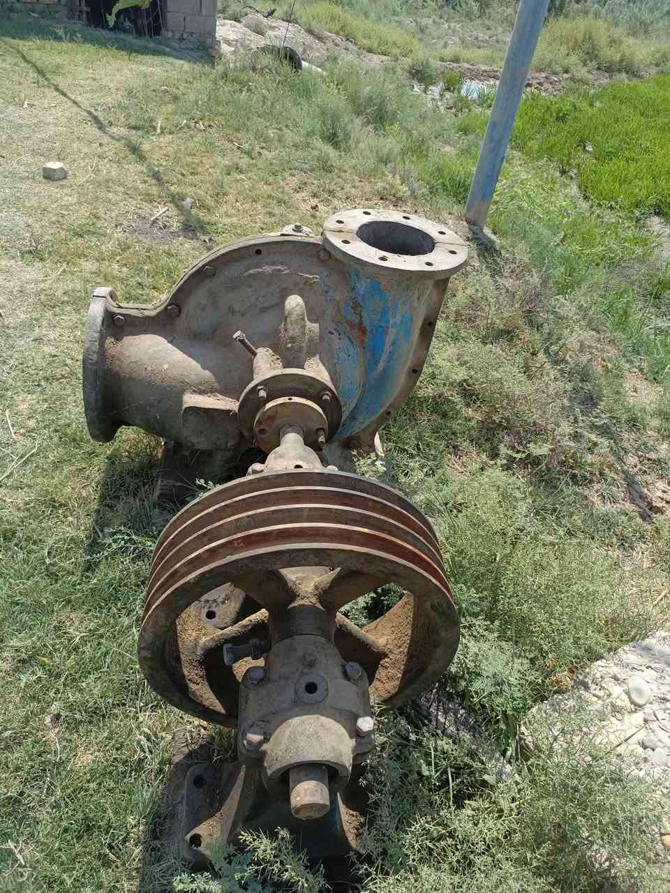 سلام عليكم خنزيه حجم 8*10مجفته مشتغله موسم واحد. جاهزه
رقم الهاتف /***********
