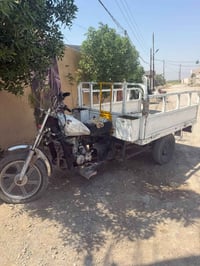 ستوتة • ٢٠١٥ • ٢٠١٨