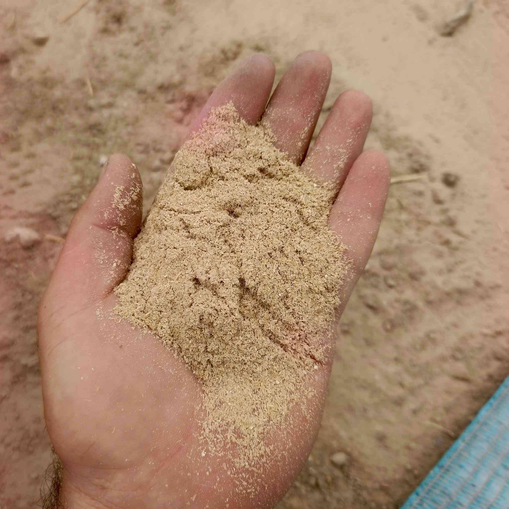 أسحالة • نضيفة • كربلاء طريق نجف