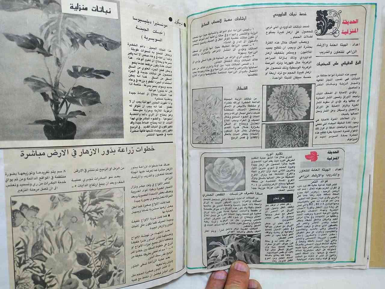 للبيع لاصحاب الانتيكا والحداىق ... 
البوم مجلد كبير  انتيكا شغل يدوي ٢٦×٢٠سم من ٤٠ صفحة يضم ٢٠٠ موضوع عن زراعة الحديقة المنزلية وكيفية زراعة الزهور باسمائها وبانواعها والاشجار والخضروات على شكل قصاصات لصق من عشرات الصحف العراقية منذ الثمانينات  نشرها مهندسون زراعيون منذ الثمانينات .
السعر ٢٥ الف 
يوجد توصيل لكافة المحافظات.
للتواصل خاص او واتساب ***********
