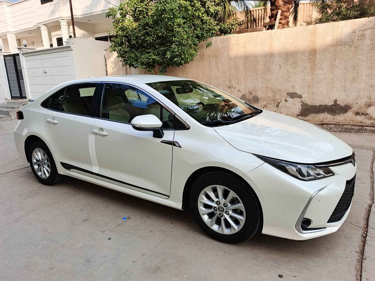 كورولا • ٢٠٢٠ • جلولاء