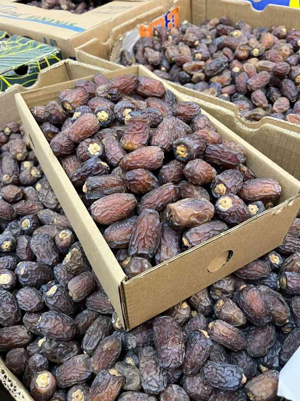 تمر طازج • بريم لاوي • عجوة عراقي
