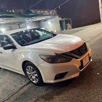 التيما • ٢٠١٦ • وارد دبي