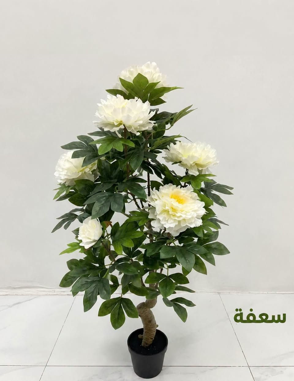 نباتات
وصلتنا نباتات اصطناعية
ومثل ما عودناكم كوالتي درجة أولى 
بأرتفاعات  مختلفة والكمية محدودة
للطلب مراسلتنا #دايركت او #واتس ***********

#سعفة 🌿
#متوفر_توصيل_لجميع_المحافظات

نص مكتوب في الصور:
- سعفة