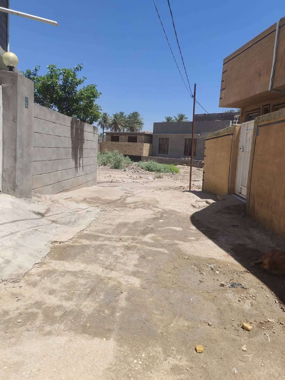 نزله سعد بيجو • ١٥٠م • طابو زراعي