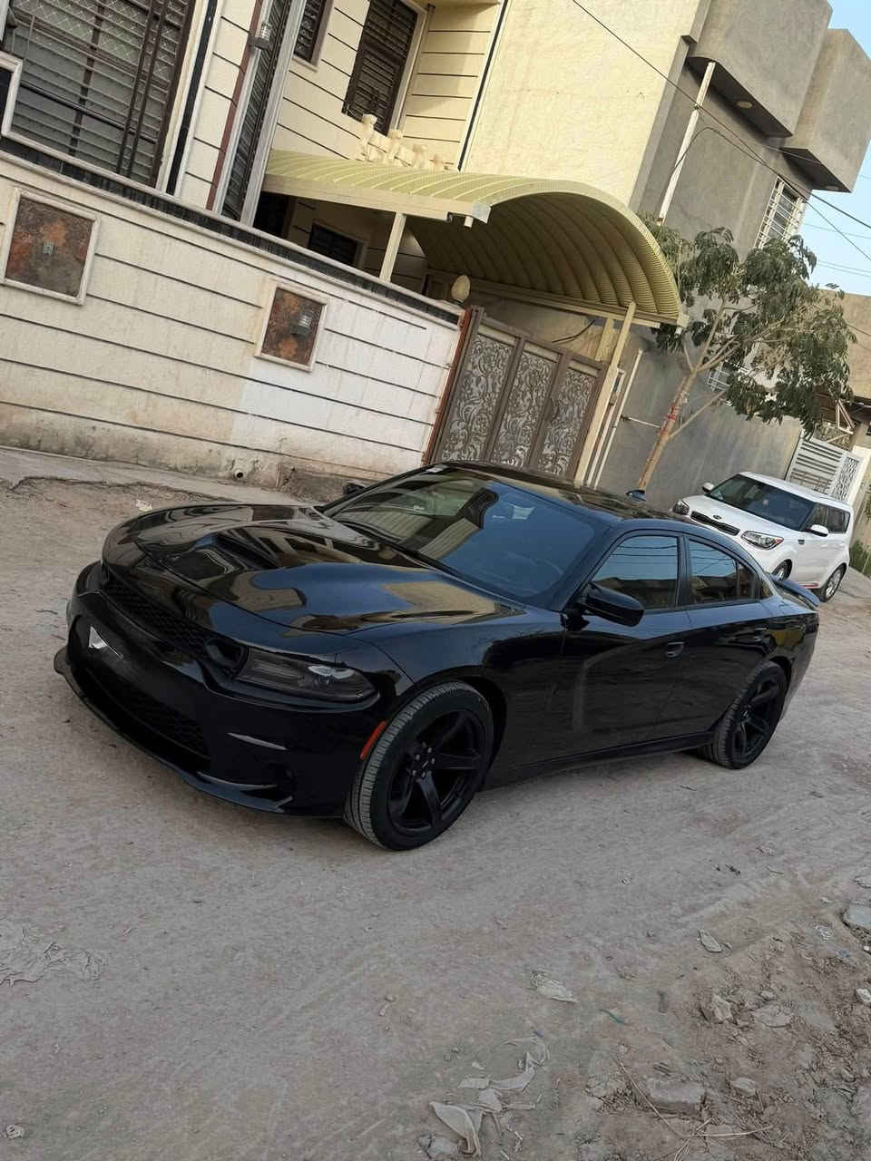 جارجر SXT • ٢٠٢١ • رقم بغداد