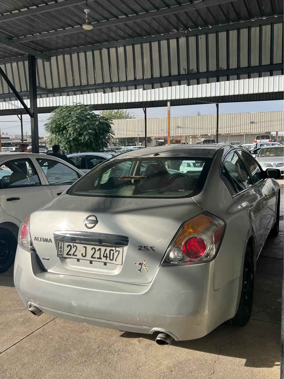 التيما • ٢٠١٢ • السليمانية