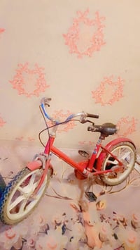 🚲 للبيع بايسكلتين أطفال عندي بايسكلتين صغار بحالة جيدة، بيهن بعض الأعط...