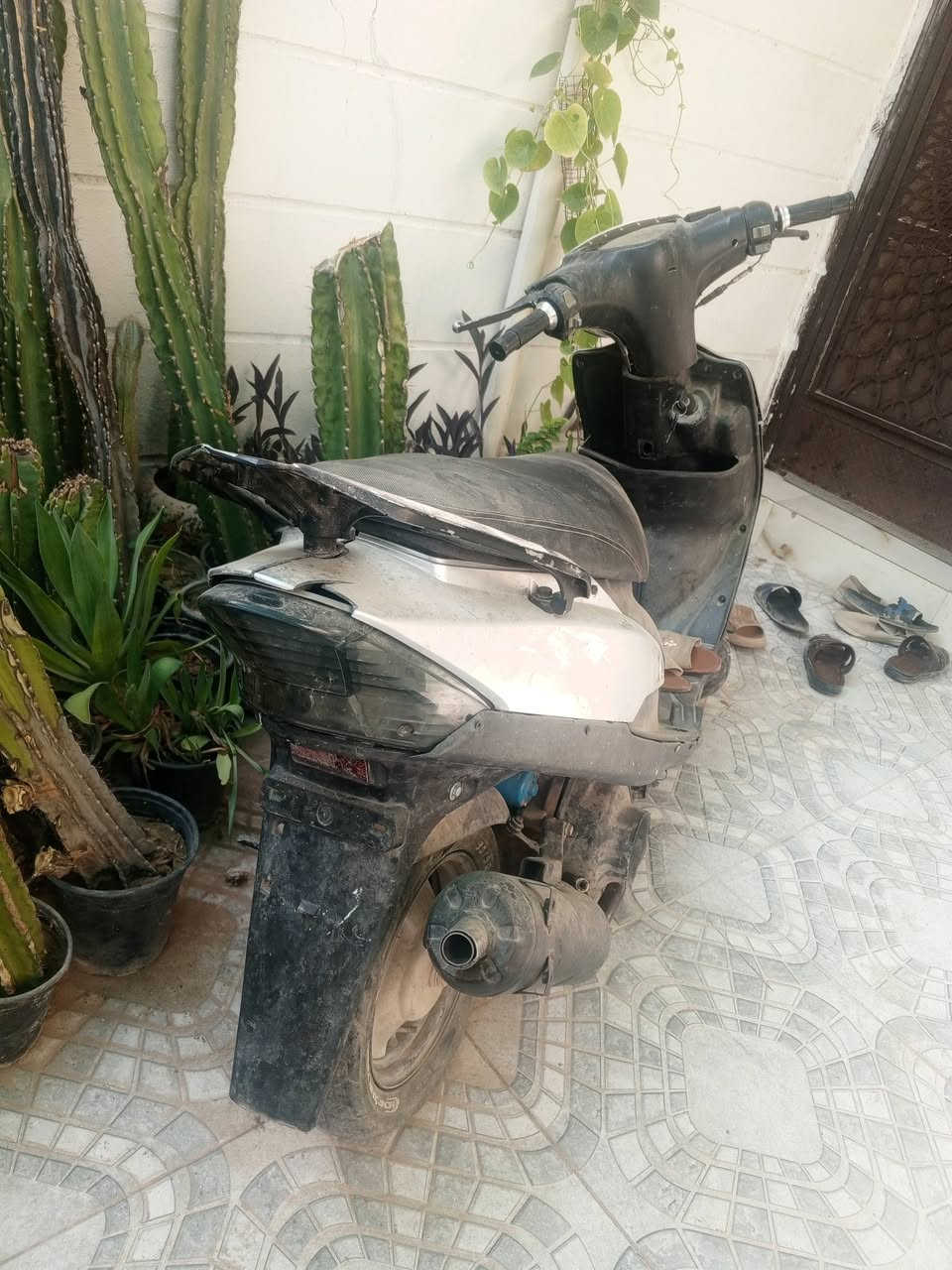 ماكس عدله للبيع جديد بس متروك جبتها ماطلعت بيها حيل بس تراب اكلها بوشه 55شلعه تشك كاع شك اريد ابيعها لان ما اطلع بيها وتعال شوفها بعينك سعرها 450 بس عيبها شي بسيط صالنصه مفتوحه من جوه وسهله انزل تصلحها من سعر   ***********
