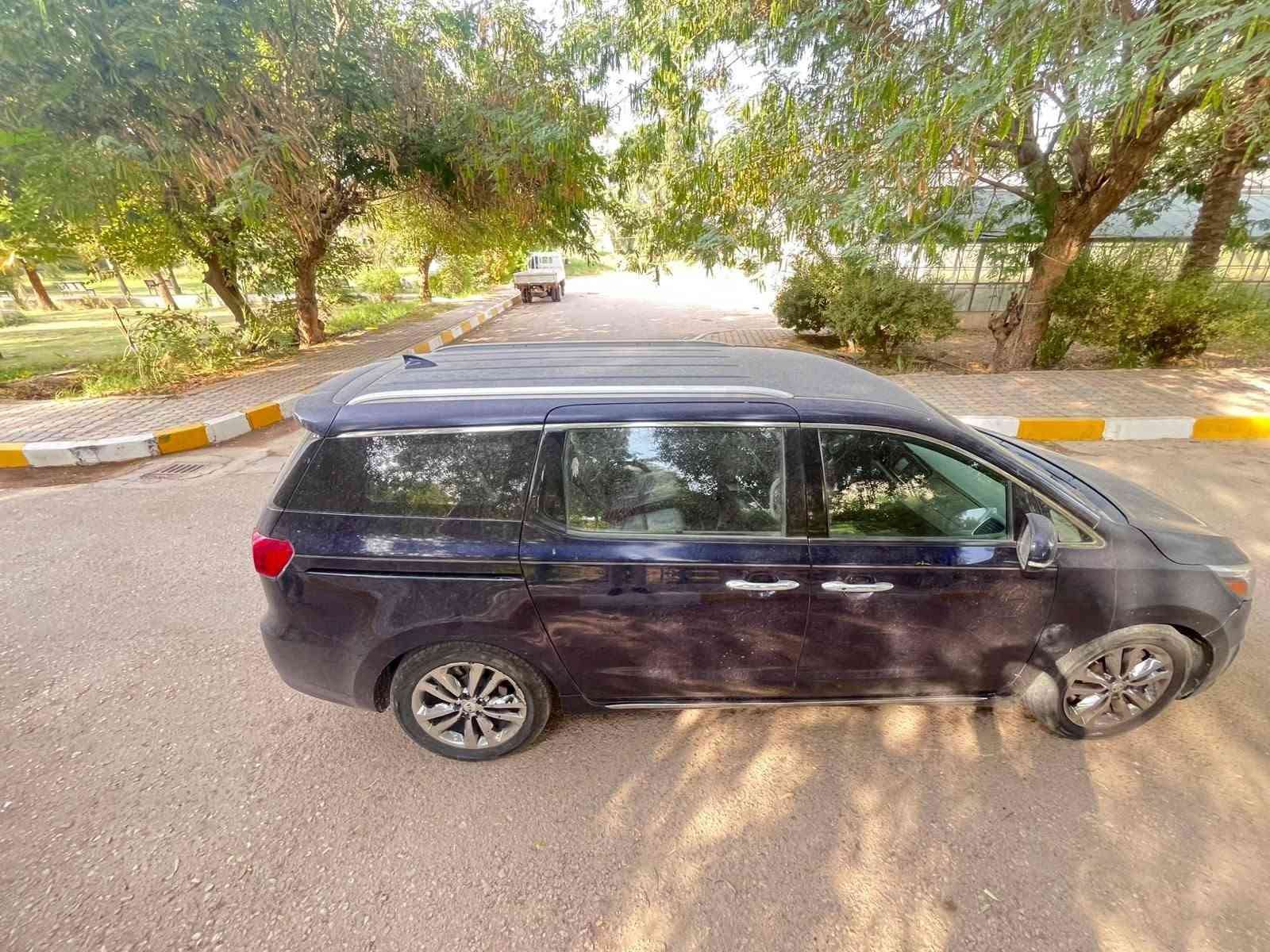 سيدونا • ٢٠١٨ • وارد امريكي