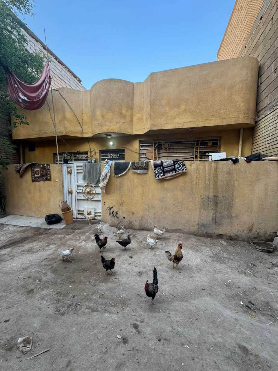 للبيع بيت مساحه 100م طابق واحد
طابو زراعي سند 25
يتكون من: /صاله /استقبال/ مطبخ/ غرفة نوم
الموقع :كربلاء / البوبيات / قرب اسواق برتقاله/
قريب على الامام يصلح سكن او حسينية 
للاستفسار: ***********
***********
