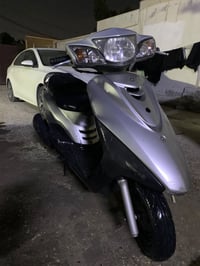 بريز • ببغاء • رمبه