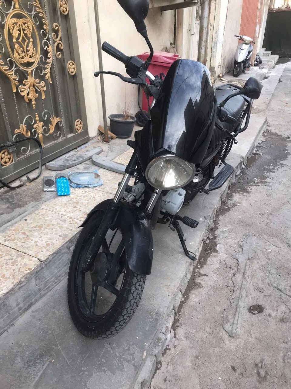 بوكسر • بدون أوراق • زنجايل شركه