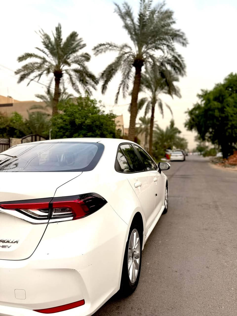 كورلا هايبرد • ٢٠٢٥ • كامره دواره