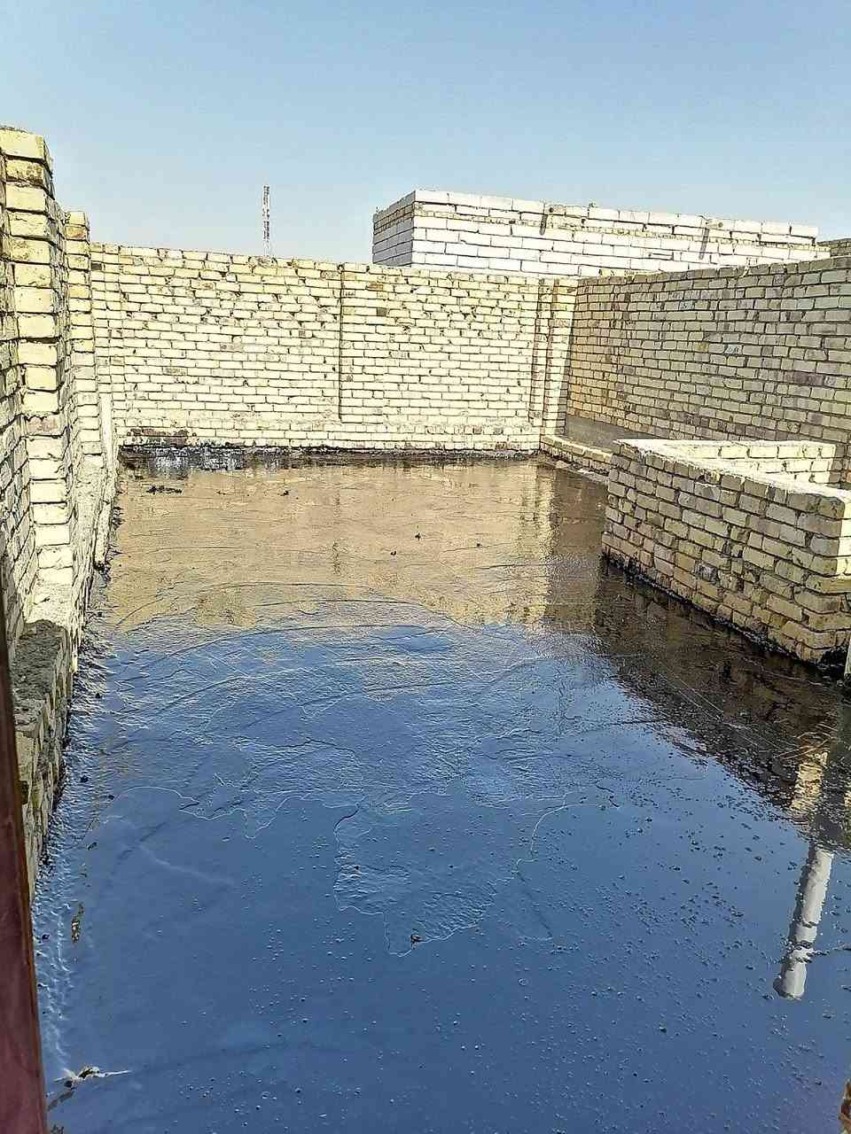 شتايكر • ماستك • تزفيت