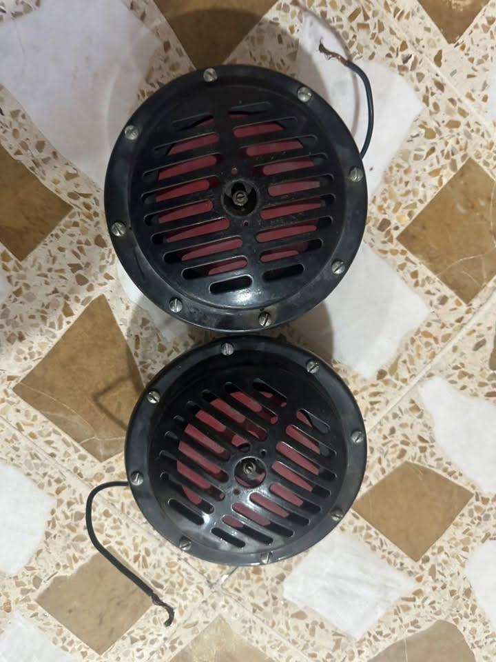 هورنات • بوش ياباني • فول دكه