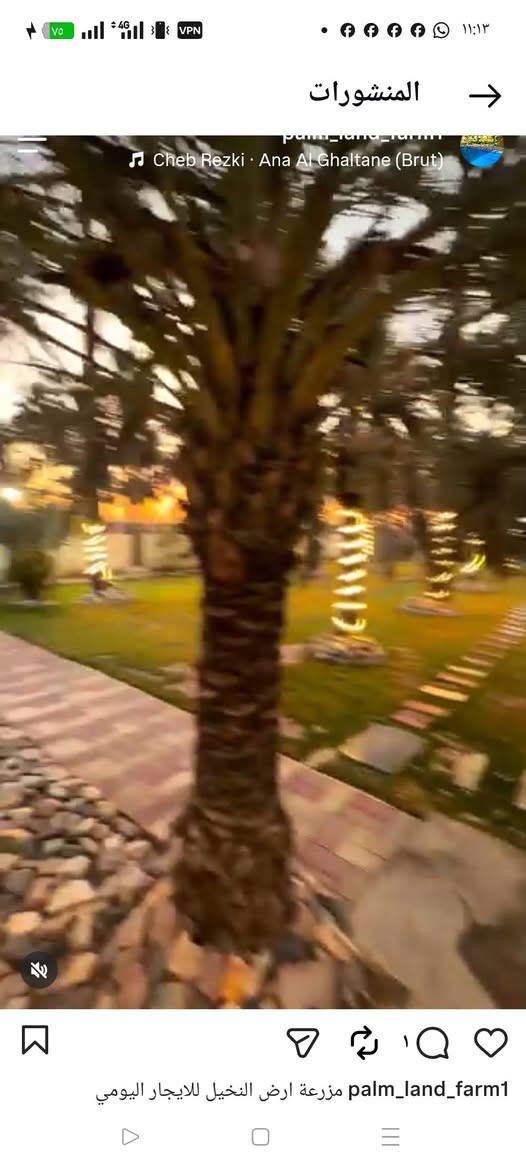 متوفر مزرعه اللايجار الدوره قرب سريع اليوسفيه الجديد للحجز الاتصال ***********
