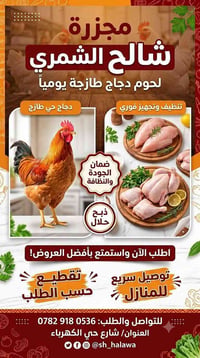 دجاج أبيض • طازج • مجزرة شالح