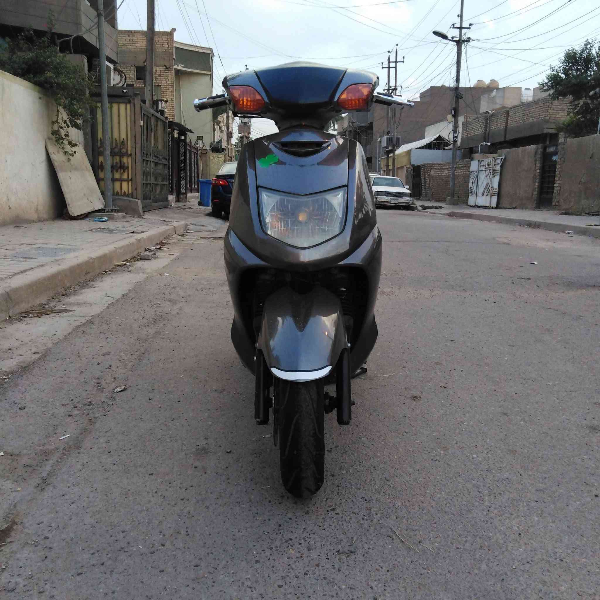 سكنس نثيه • ياباني • مكفوله