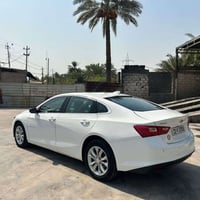 ماليبو • ٢٠٢٤ • قرب مرور التاجيات