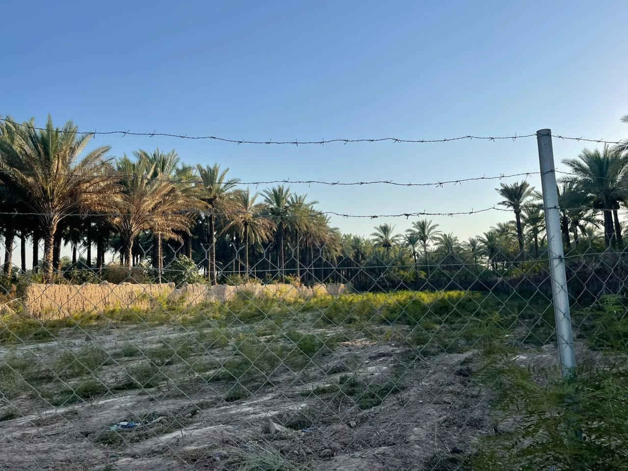 منطقة الاسود • ٢٥٠٠م • سند ٢٥