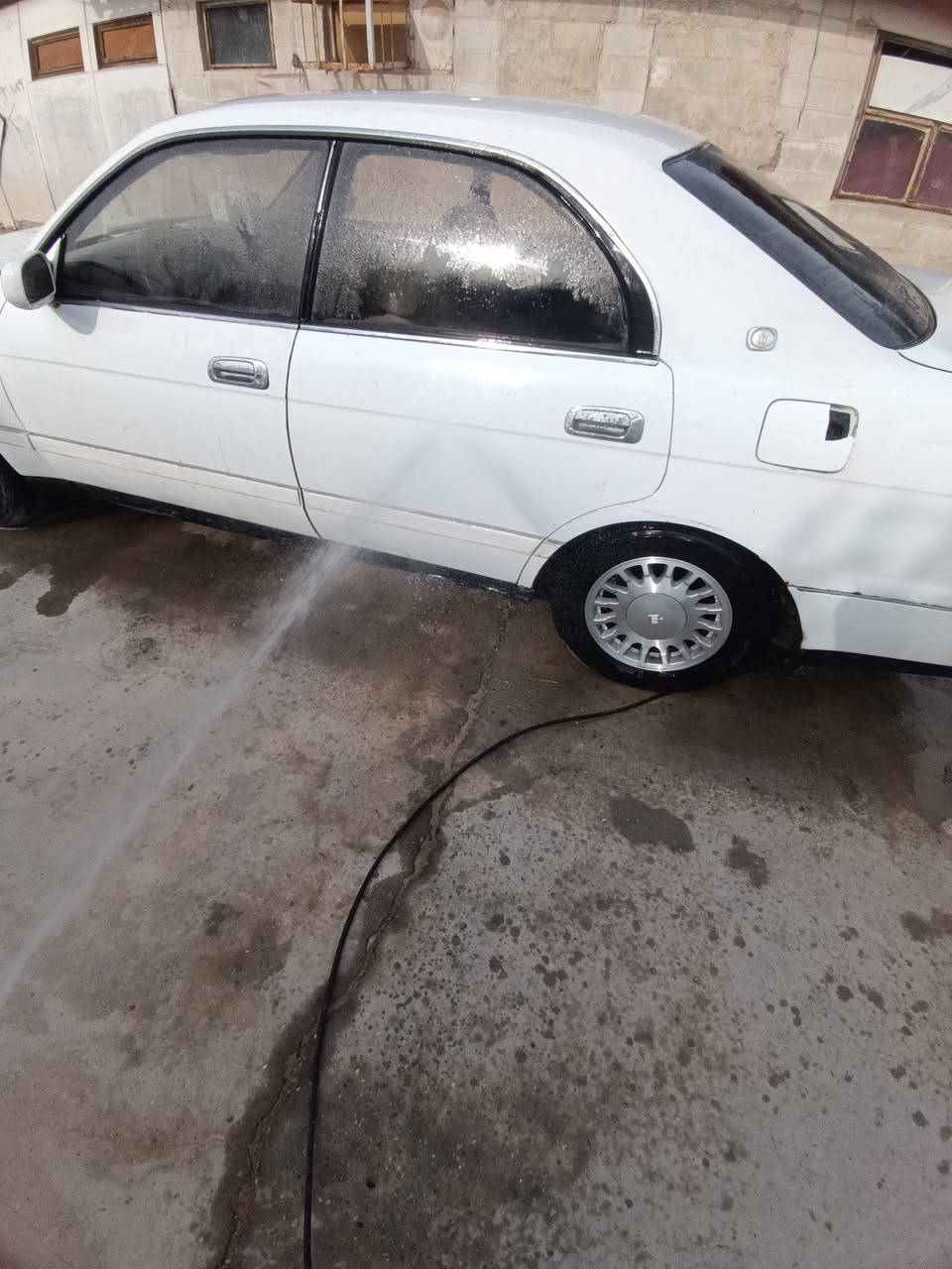 بطه ١٩٩١ • رقم بصره • نقل جثه
