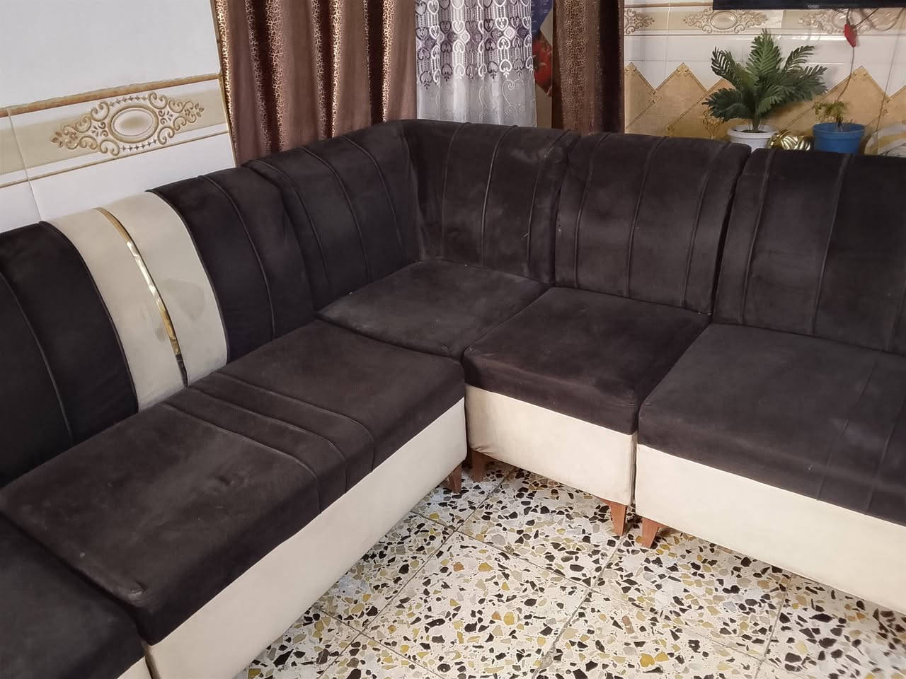 تخم  للبيع بسعر 200 الف مكاني البياع ***********
