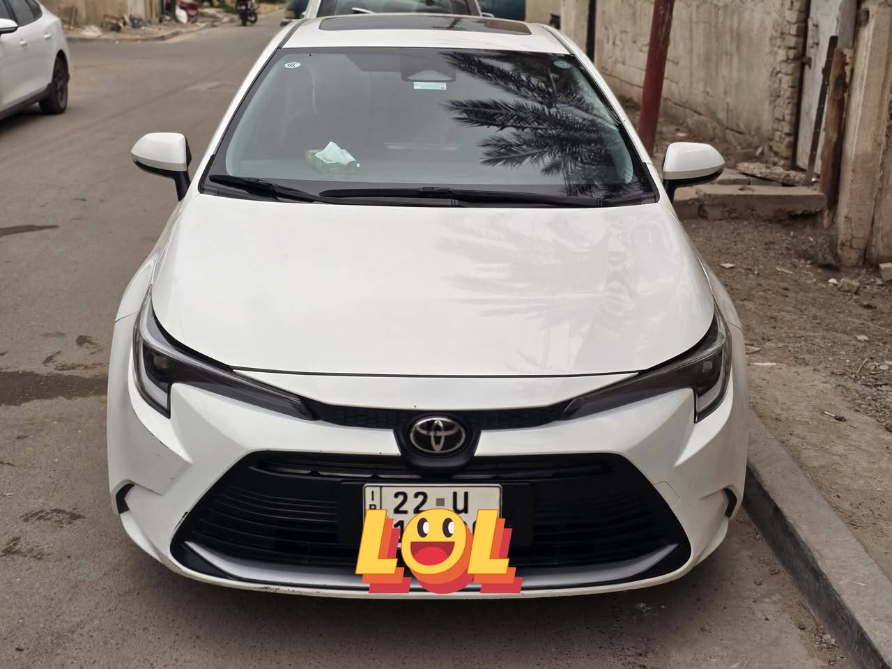 كورلا • ٢٠٢٤ • رقم اربيل