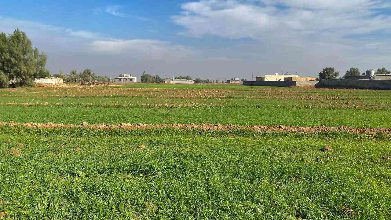 النهروان بغداد • أرض ١٠٠٠م • ماء كهرباء بوري