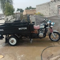 ستوته • ٢٠٢٠ • رقم انجليزي