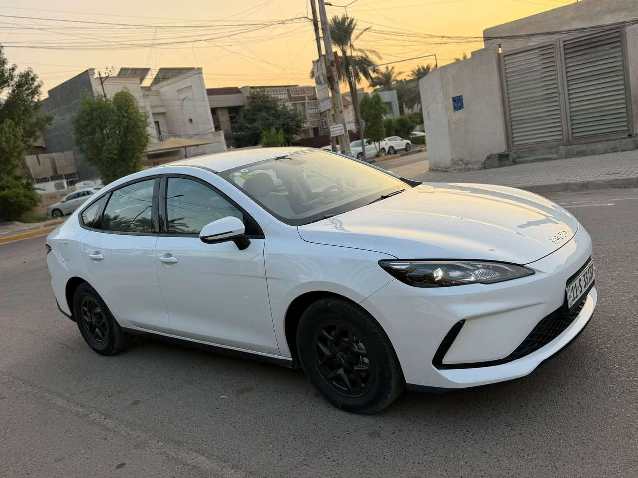 سيل5 • ٢٠٢٥ • رقم بغداد