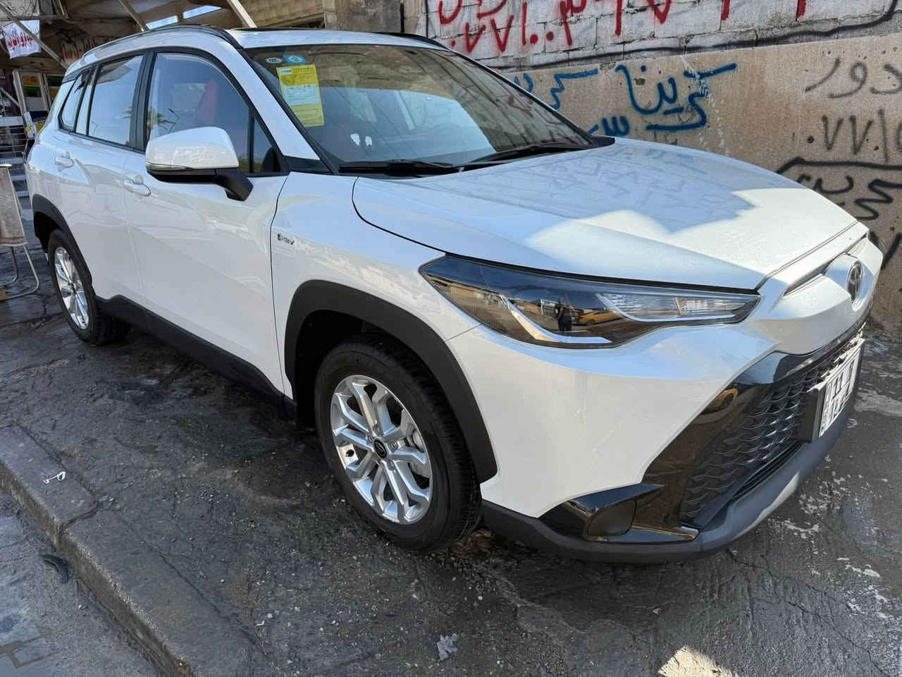 فروت لاندر • ٢٠٢٤ • فول مواصفات
