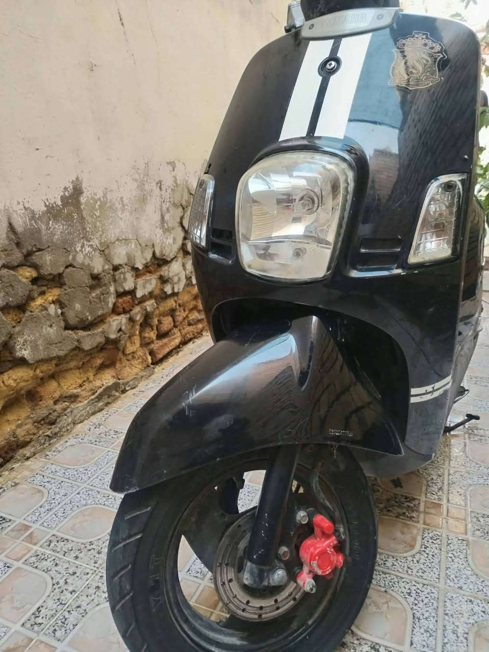 ماكس بوليسي • نضيفه • ناصريه
