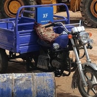 كلك • مكفول • بل ركبة