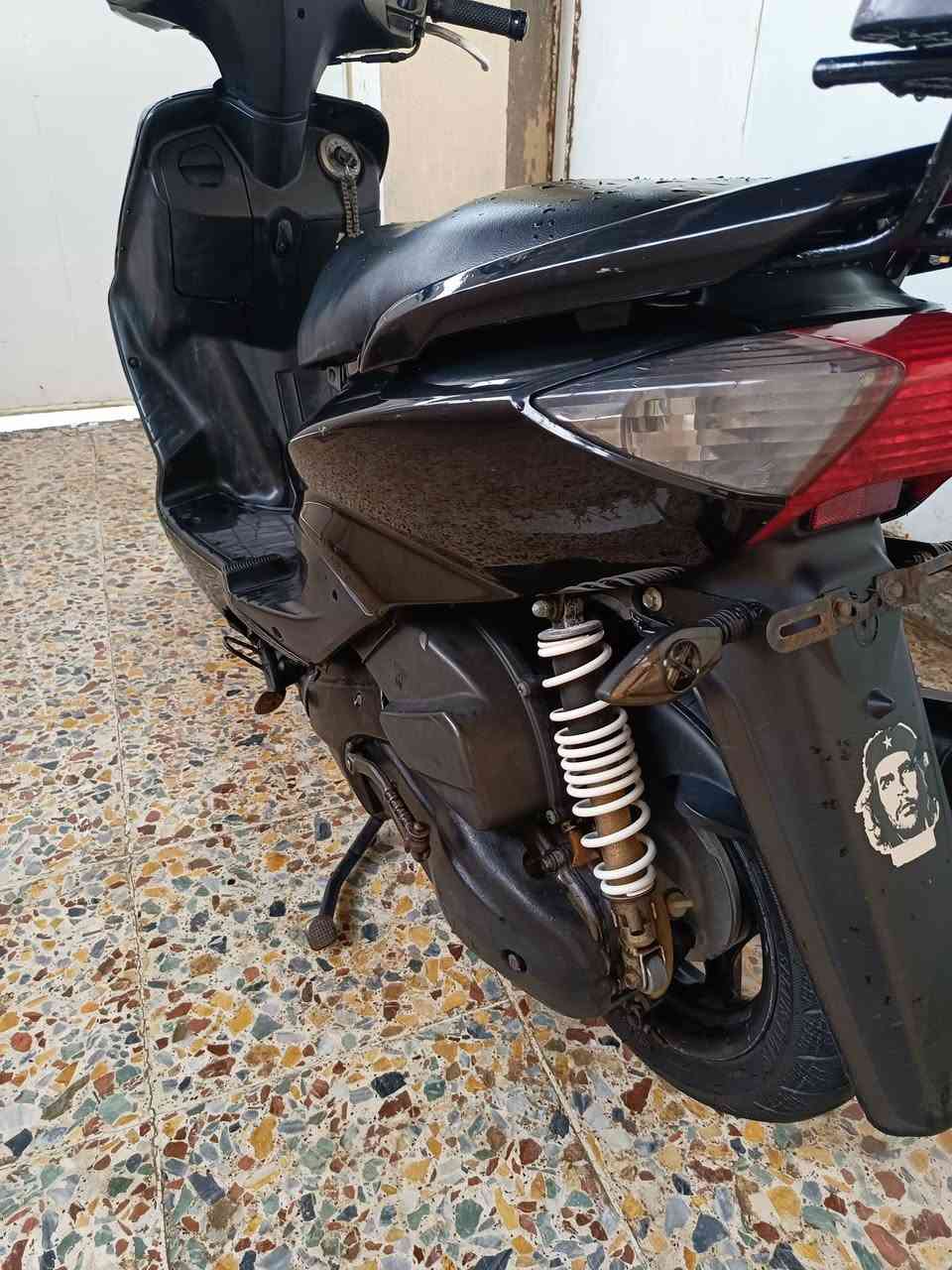 سكنس نثية • مكفولة • كهربايات شغالة