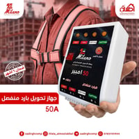 يو بي اس • حماية • الكفل