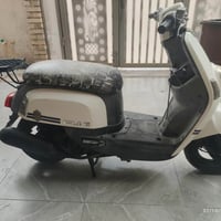 بوليس • نظيف • اوراق