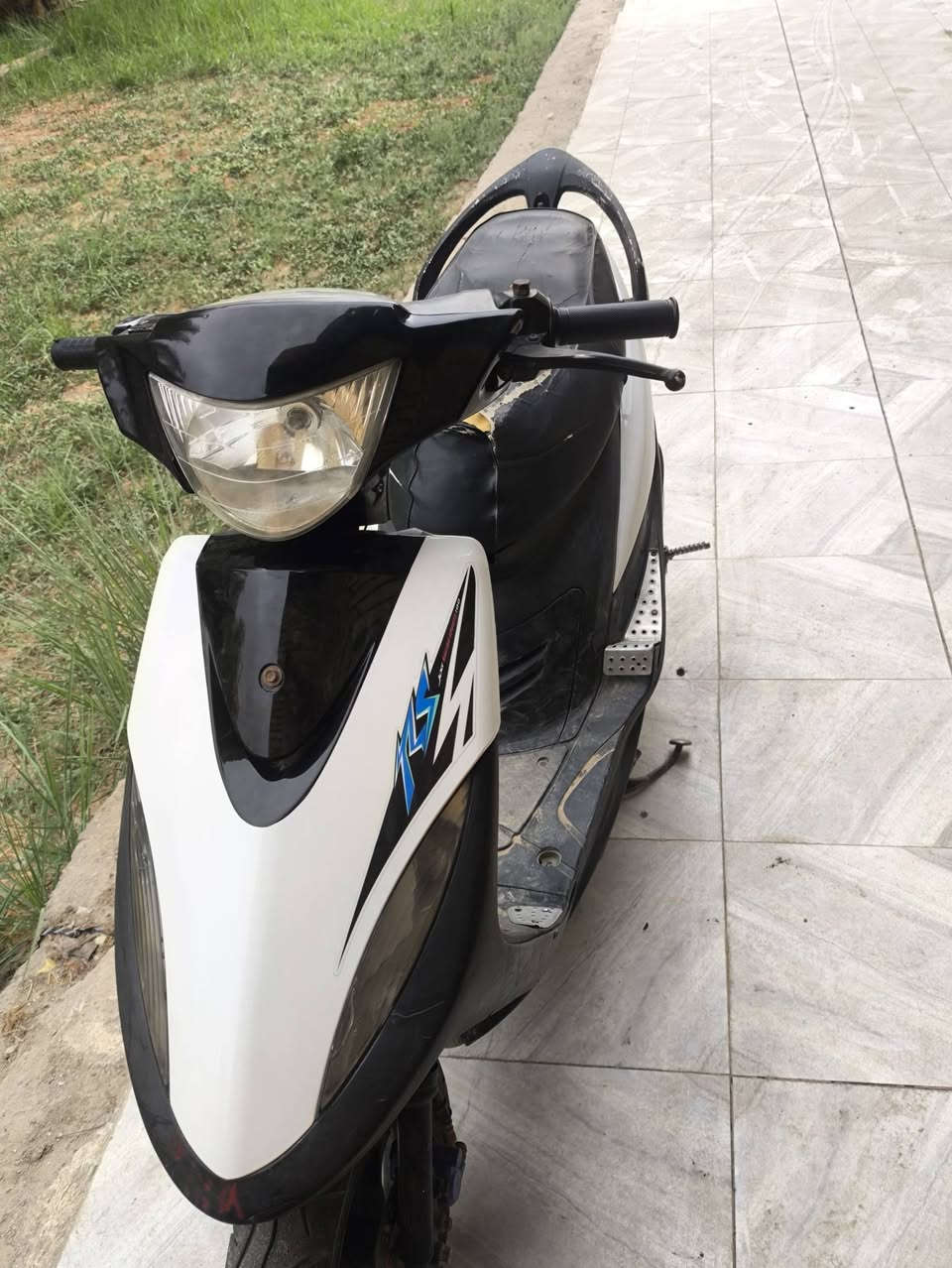 ماكس عدلة • مجال