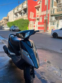 ثعلب • نظيفه • مجال الشراي