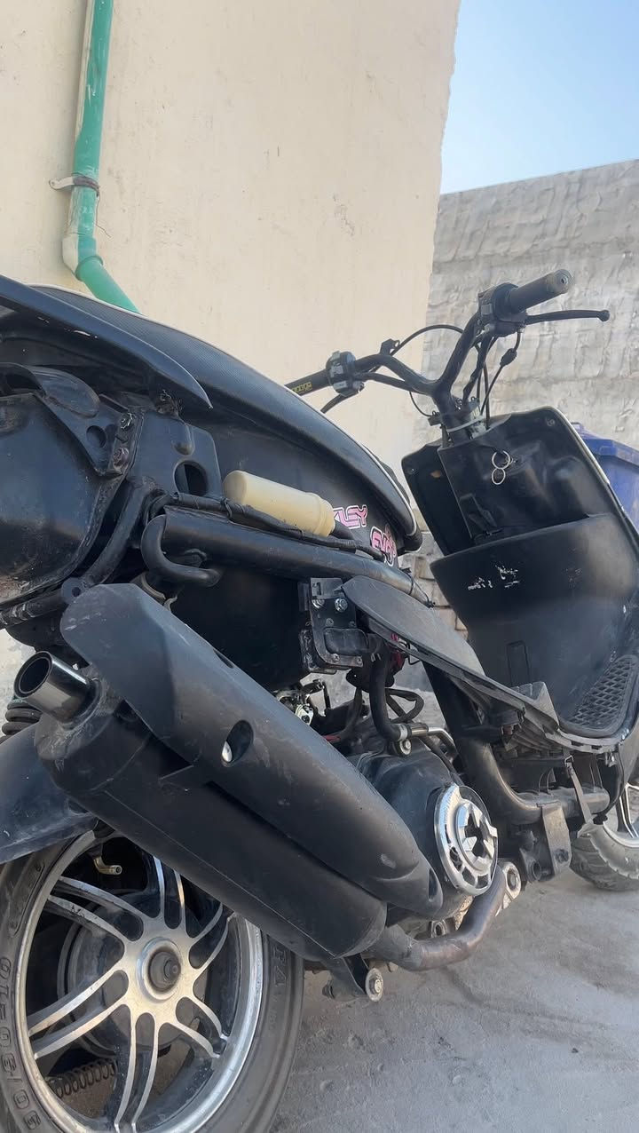 ماكس عدلة • كفالة • سلف وهاند