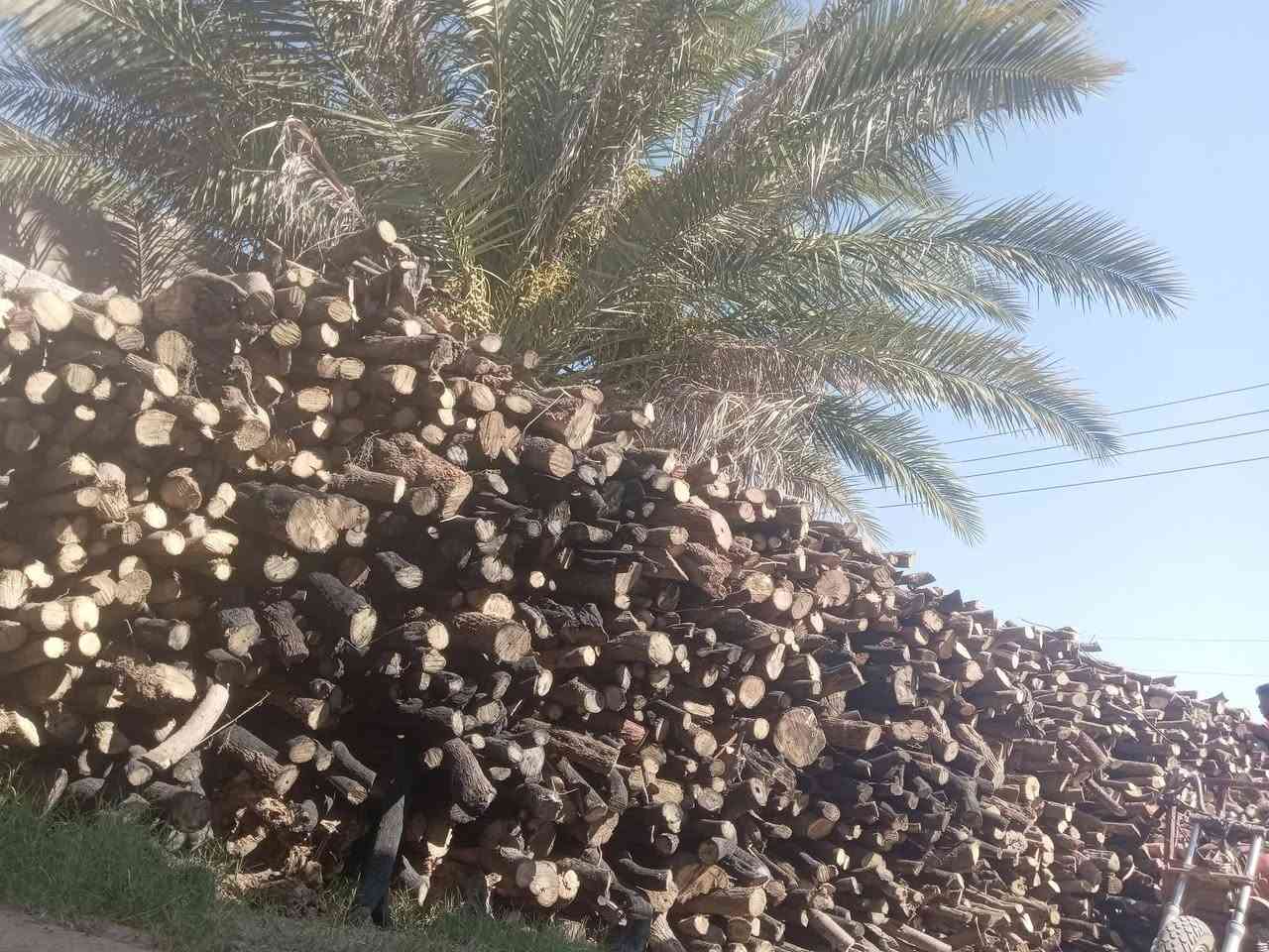 السلام عليكم مكلف بنشر
يوجد خشب البيع تريد ستوته تريد كية 
رقم حاحب الخشب ***********
