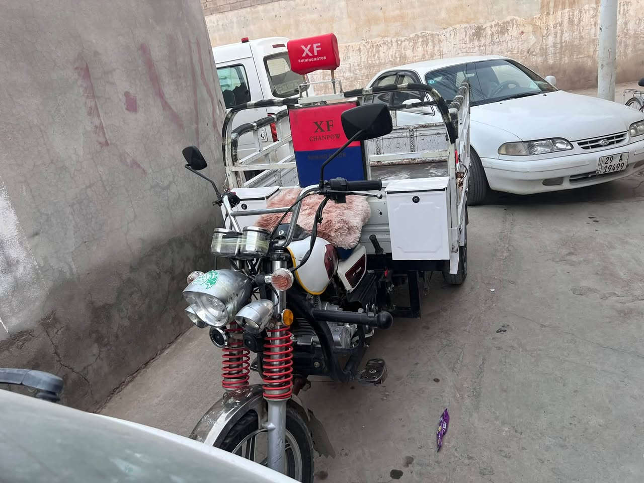 ستوتة • فحل • أوراق