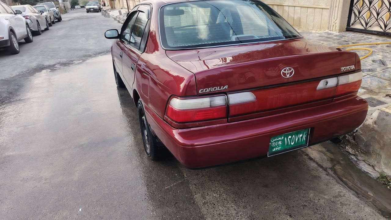 كورلا ٩٥ • بدون ضربة • رقم أخضر