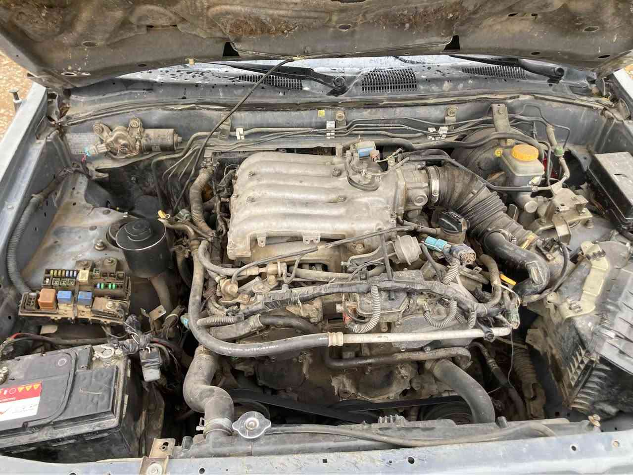 پاسفاندەر • ٢٠٠٥ • تۆماتیک