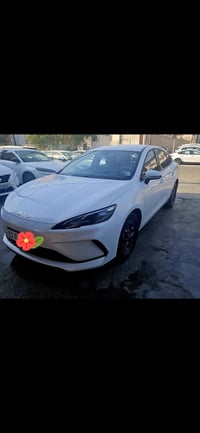 بايد سيل ٥ • ٢٠٢٥ • سبع ابكار